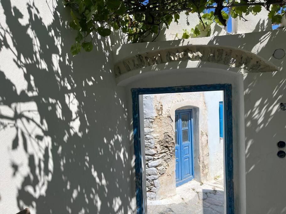 Villa Dream House Little - *