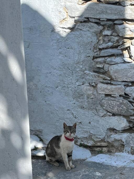 Dream House Little - Amorgos